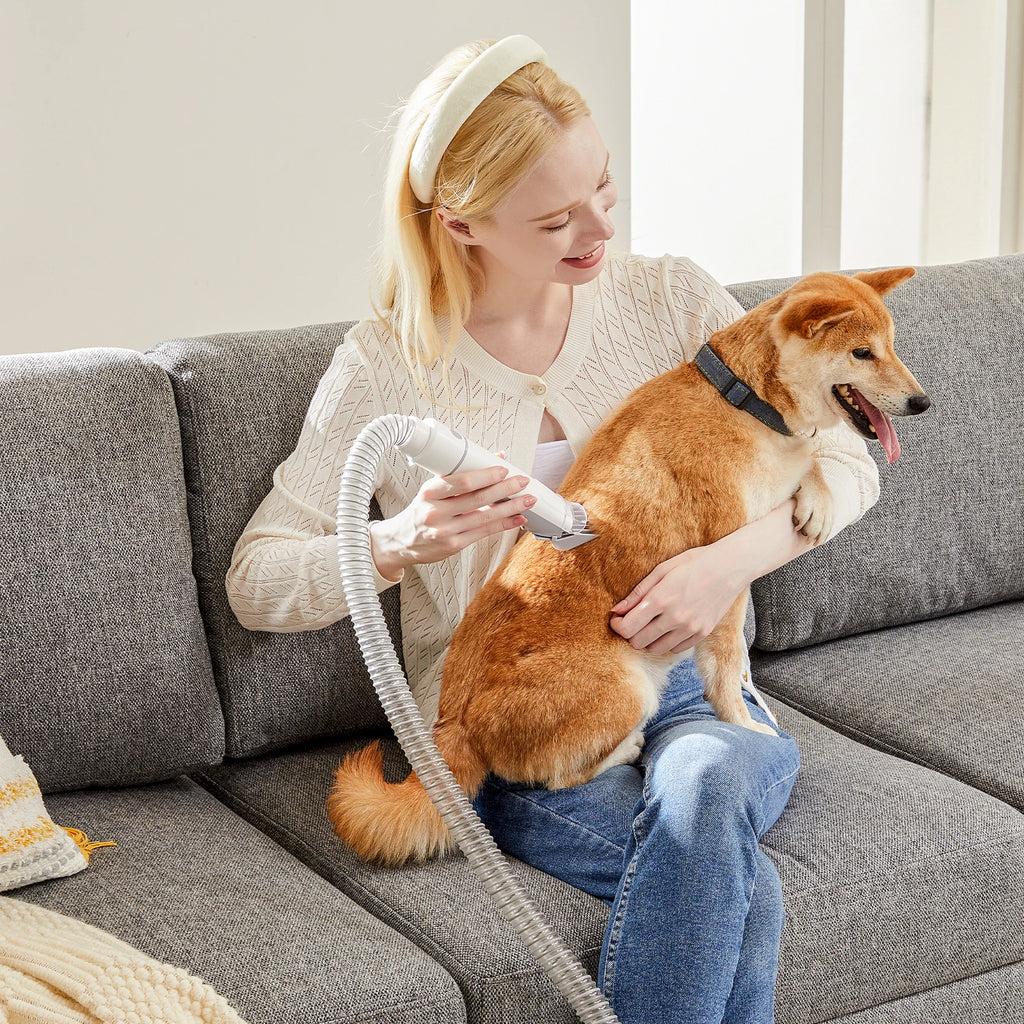 Professional Pet Grooming Vacuum Kit – 2.5L, 5 Tools, Low-Noise Clippers
